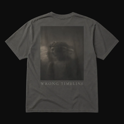 Gray t-shirt with a graphic design and 'Wrong Timeline' text on a black background